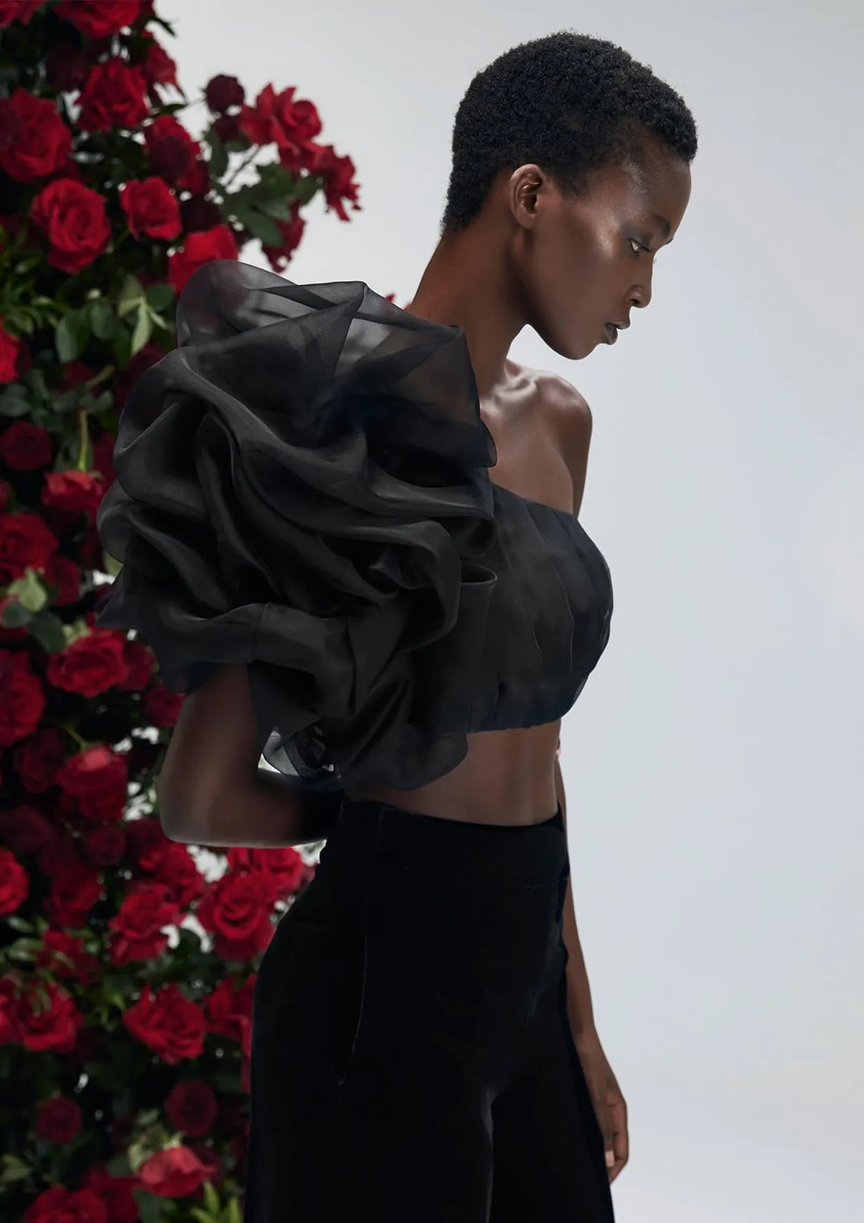 Dahlia Noir Asymmetrical Silk Organza Crop Top