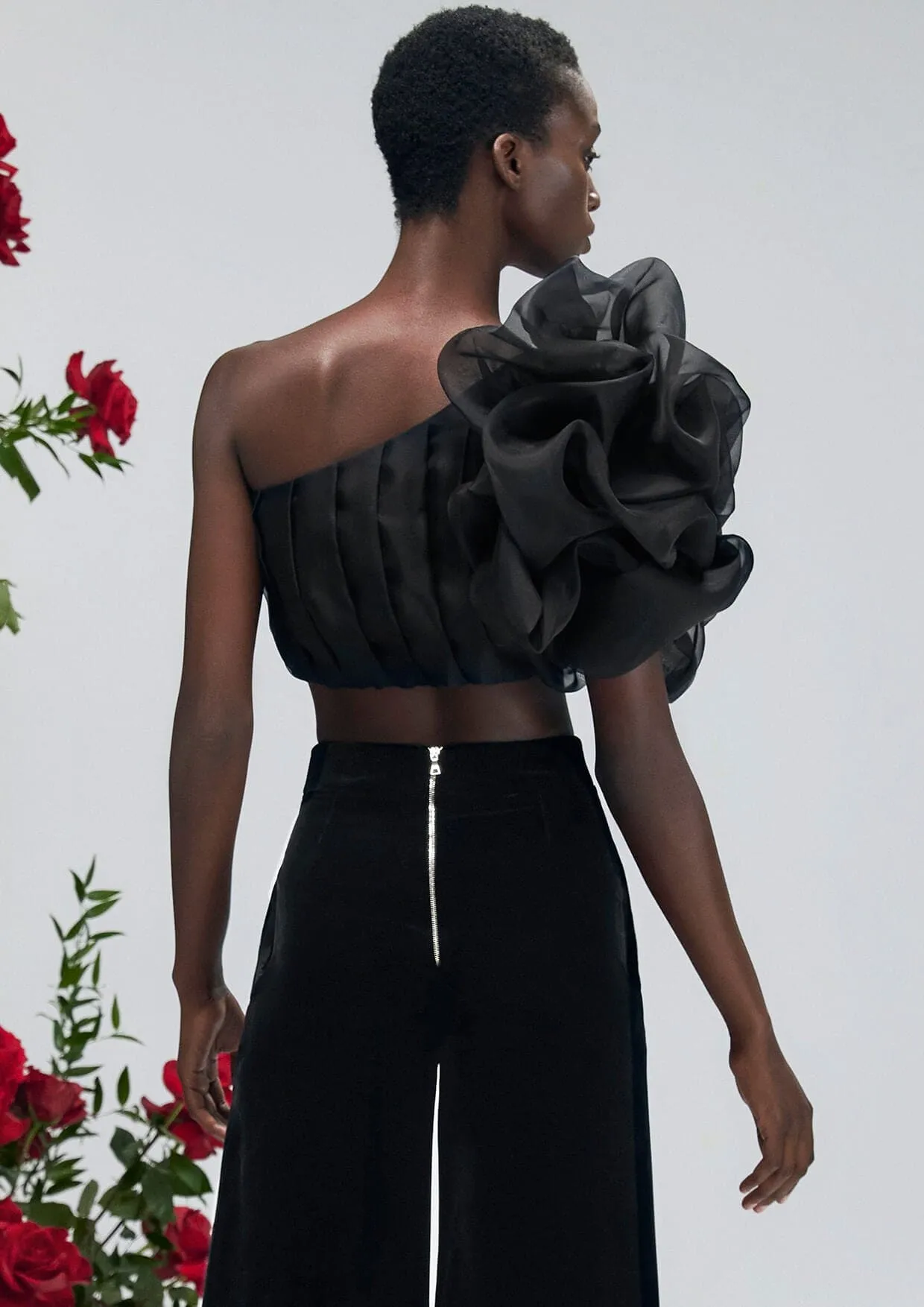 Dahlia Noir Asymmetrical Silk Organza Crop Top