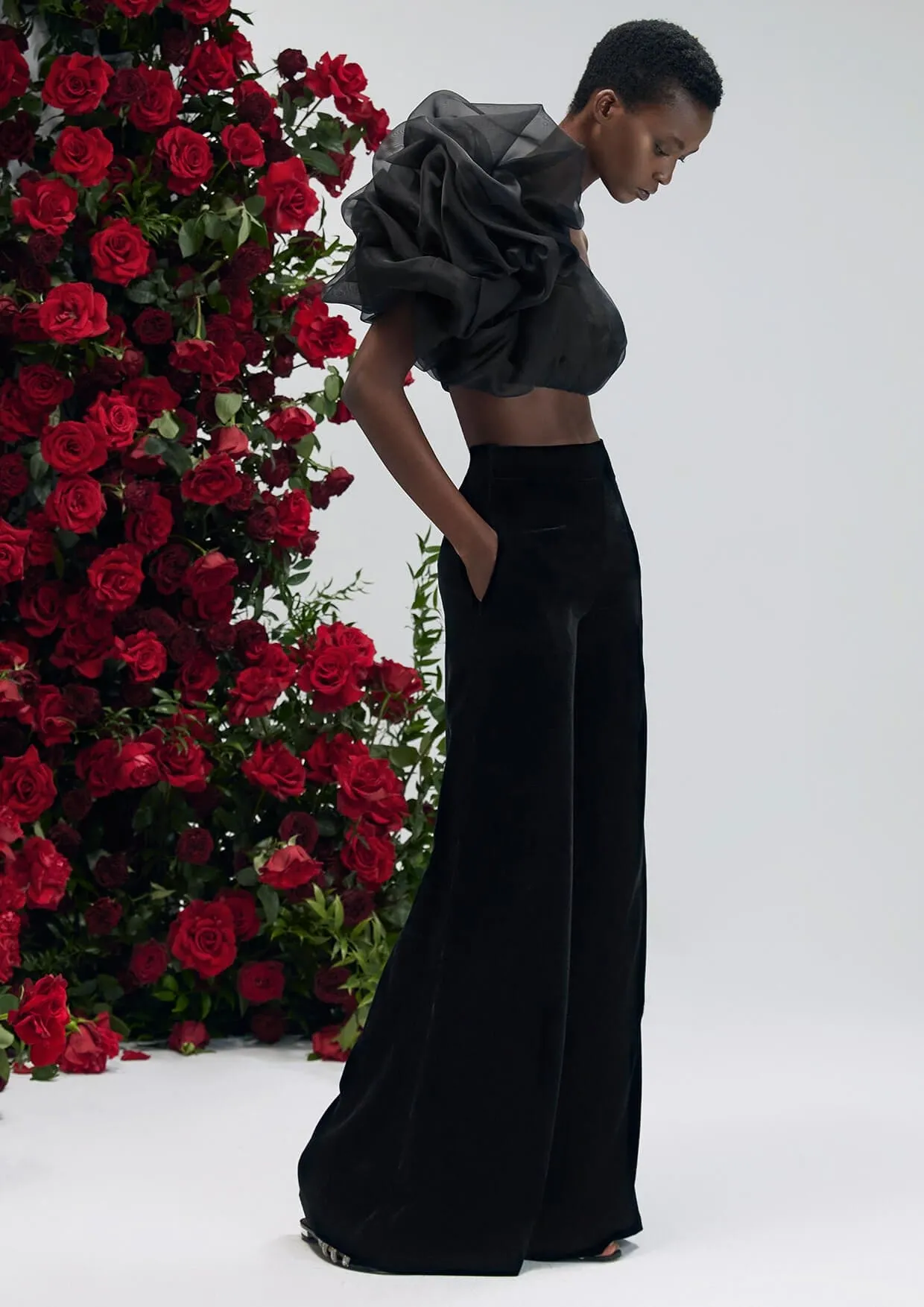 Dahlia Noir Asymmetrical Silk Organza Crop Top