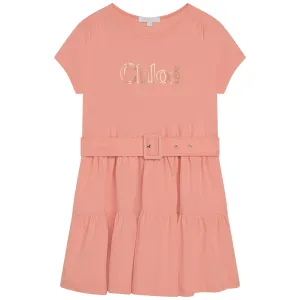 Girls Light Pink Dress Belt