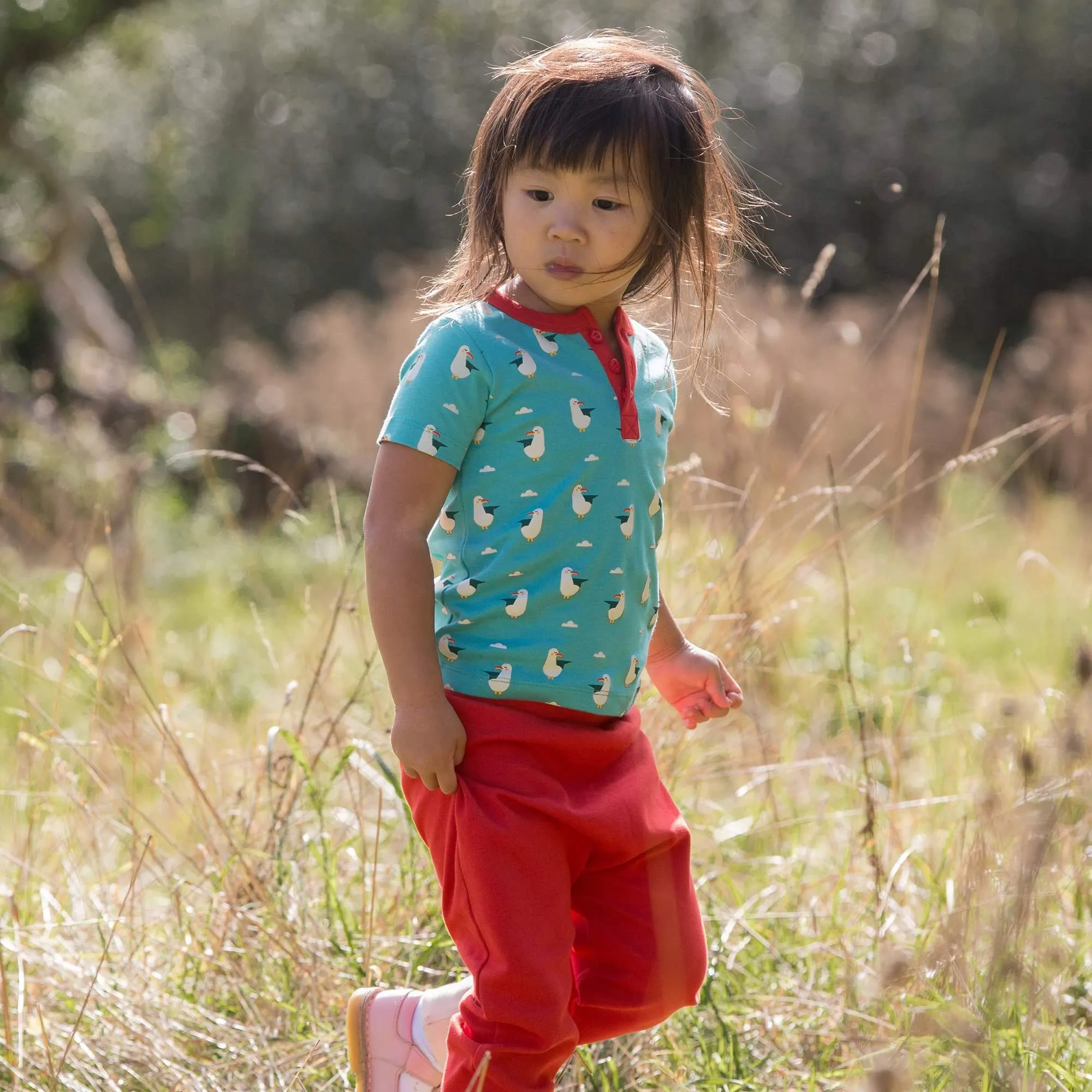 Summer Seagull Short Sleeve Henley Top